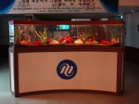 용인 메가…